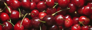 Cherry Pritikin Recipe