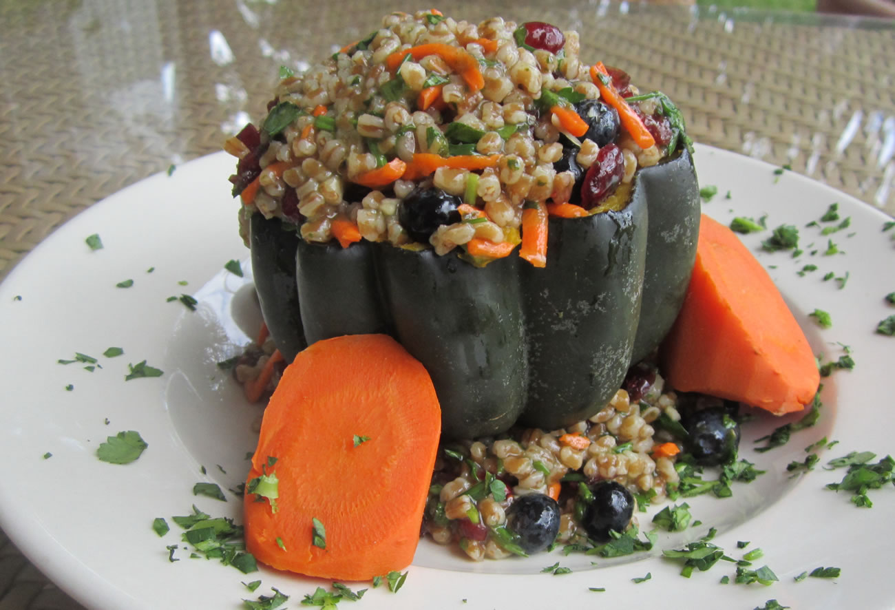 Squash Pritkin Recipe