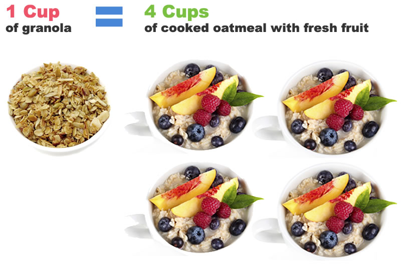 Calorie Counting: Granola vs Oatmeal