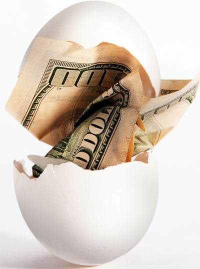 Who paid for the Proposed 2015 Dietary Guidelines research done on eggs and cholesterol?