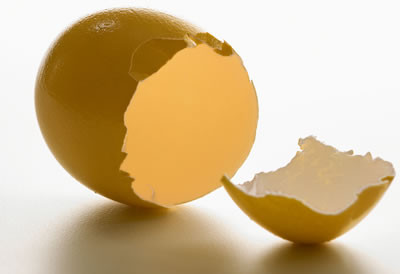 Empty Science on Eggs and Cholesterol