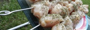 Ten Foodborne Pathogens