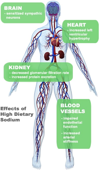 The Effect Of Salt Intake On Hypertensive