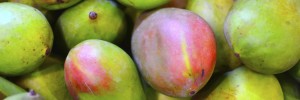 Apple Mango Salsa Pritikin Recipe