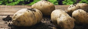 Potatoes Pritikin Recipe