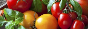 Vegetable Recipes