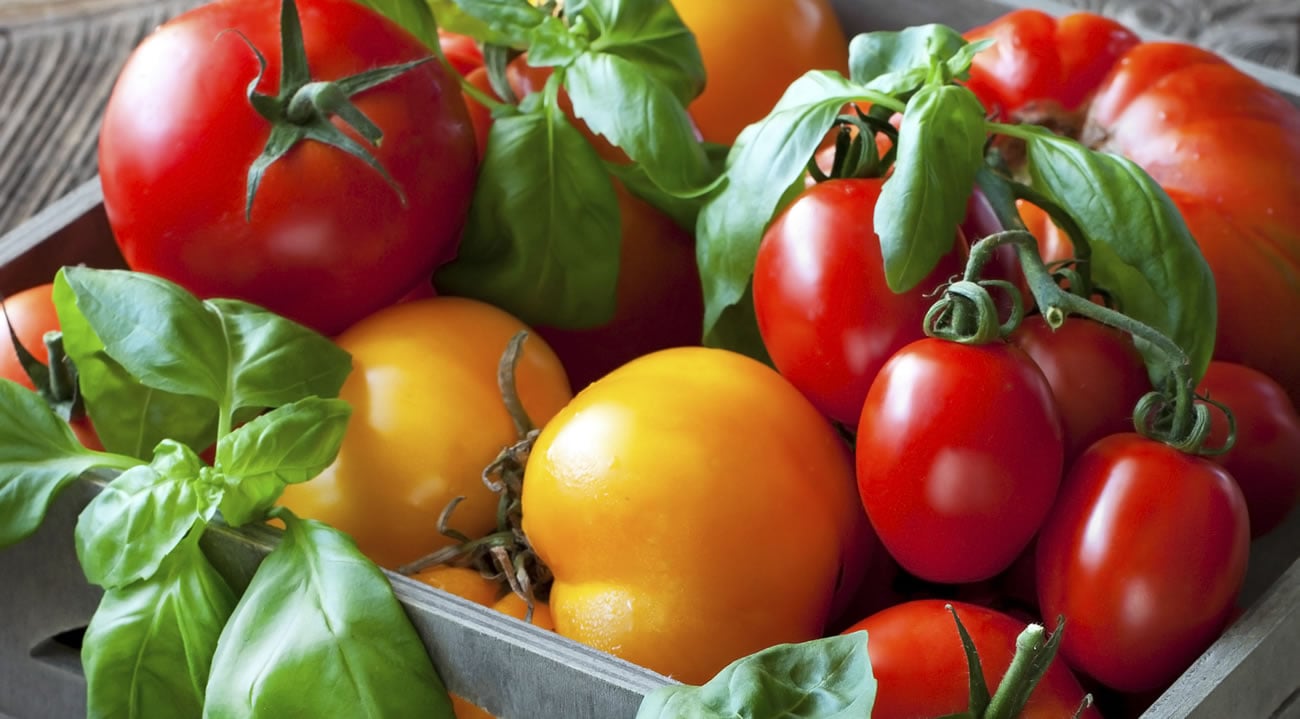 Vegetable Recipes