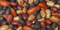 Healthy Beans Recipe