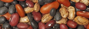 Healthy Beans Recipe