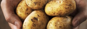 Healthy Potato Recipe