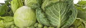 Cabbage Pritikin Recipe