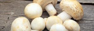 Recipe for Stuffed Mushrooms