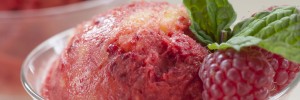 Yonanas Mango Raspberry Sorbet Recipe