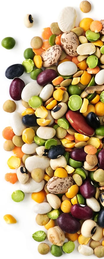 Beans Are An Important Component of this Meal Plan for Lowering Cholesterol