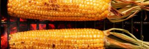 Grilled Corn Cob Pritikin Recipe
