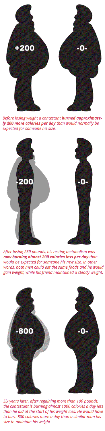 Metabolic Damage and Resting Metabolic Rate