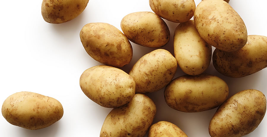 potato diet how much weight loss