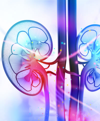 Kidney Health is Important