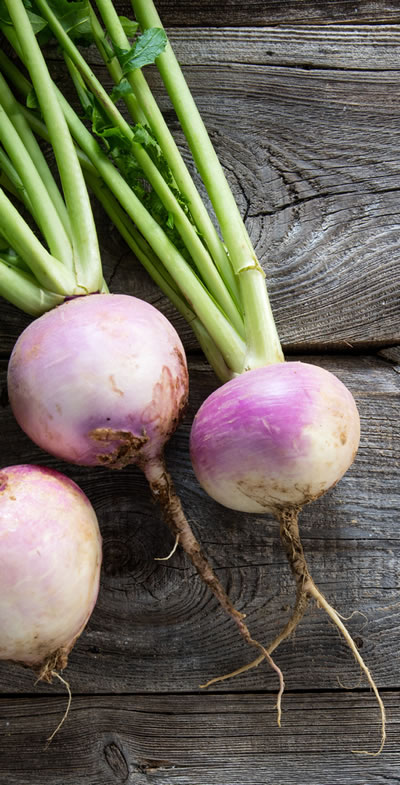 Turnips are a Health Benefits Superstar