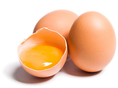 Diets that Work: Egg Yolks