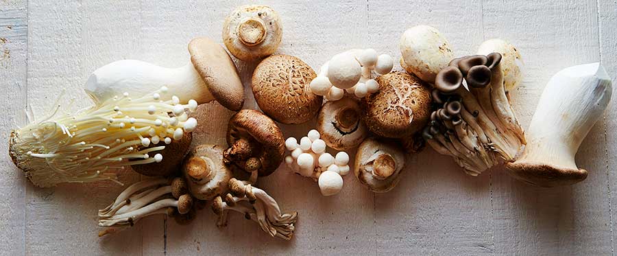 Health Benefits of Mushrooms and Recipes