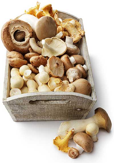 Vitamin D is just one of the health benefits of the mushroom recipes. 