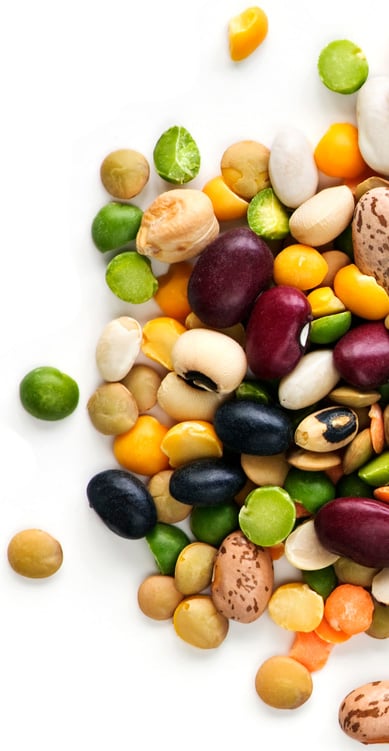 Beans are a Nightshade Vegetable, but are among the healthiest foods on earth.